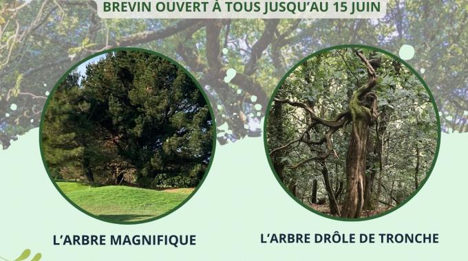 5 juin - Journée Mondiale de l'Environnement - 40 ans des ASB - CONCOURS PHOTO