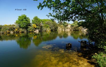 Expo : Cohabiter avec les arbres